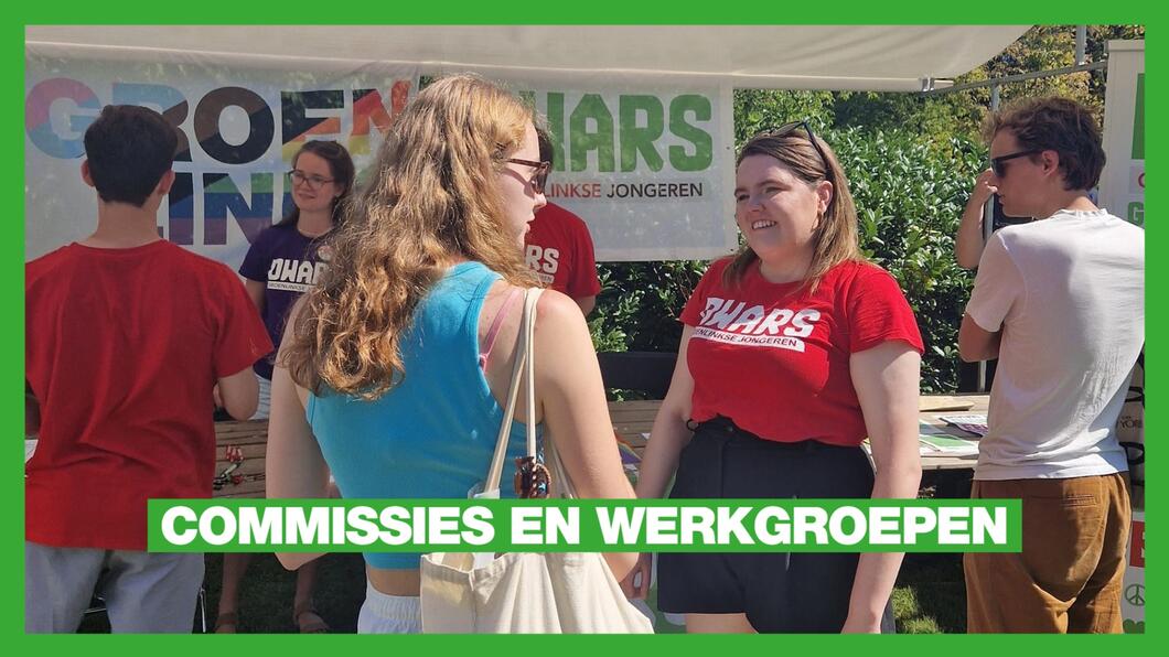 Commissies en Werkgroepen
