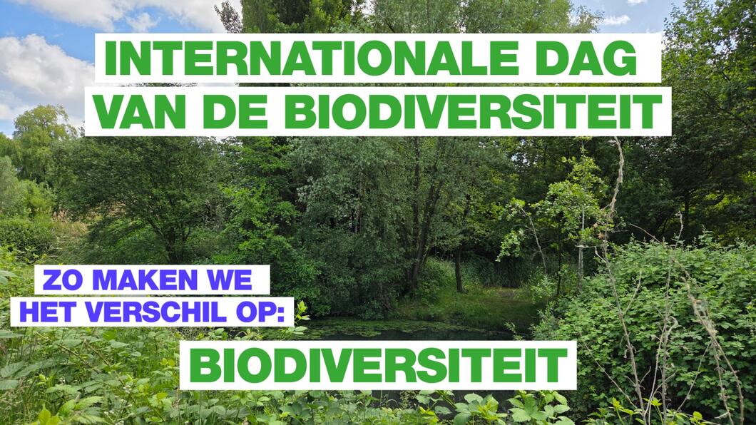 Biodiversiteit