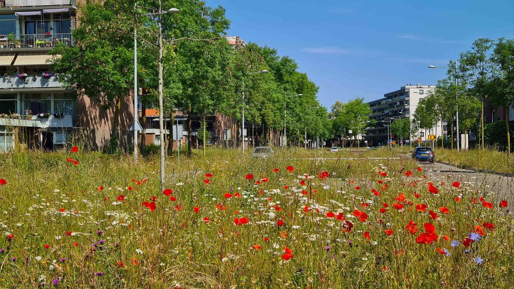 Biodiversiteit Politiek Cafe