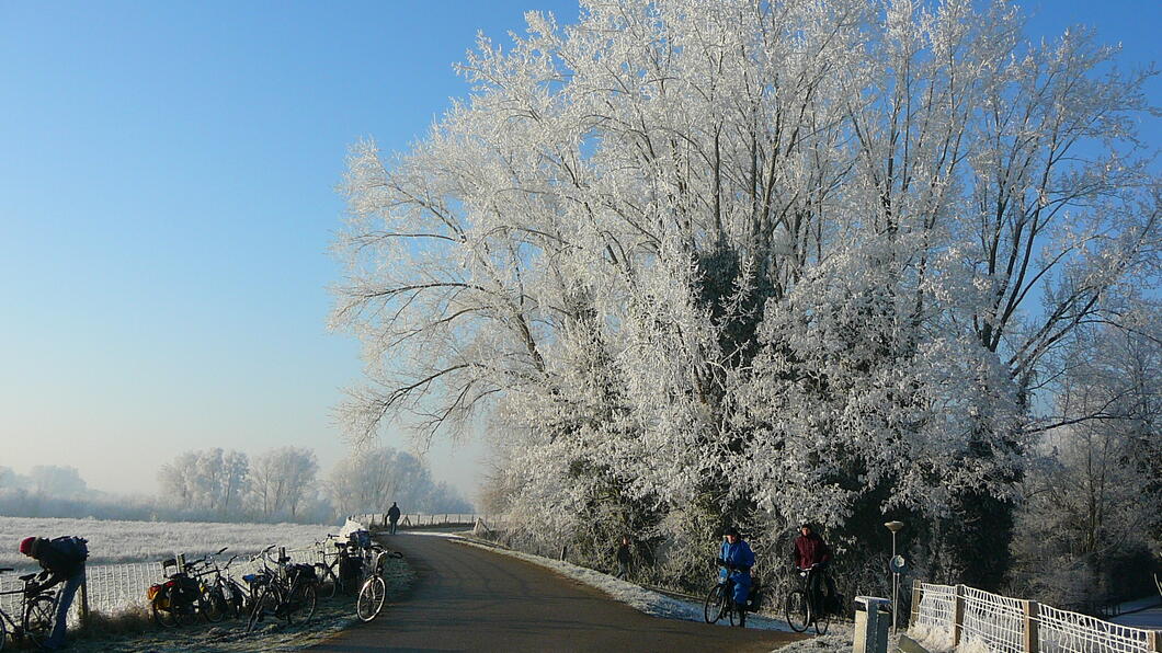 lsch_foto_rivier_Rijn_Wageningen_uiterwaarden_rijp_071222_006.jpg