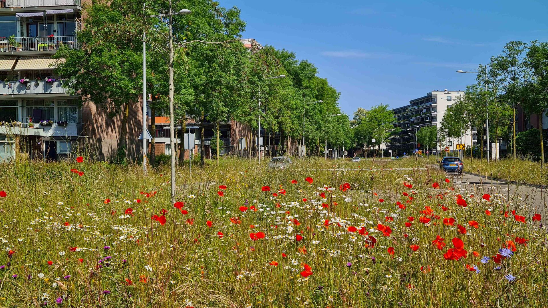 Biodiversiteit Politiek Cafe
